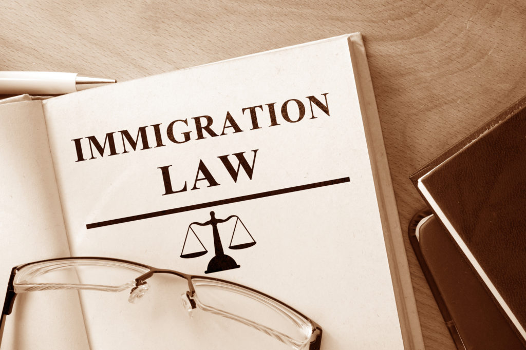 Best Immigration Attorney in Carrollton, TX